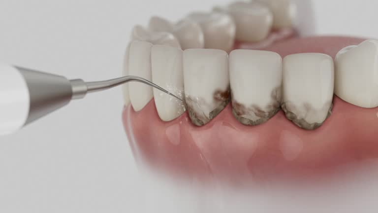 Reliable Dental contractor in Bentonville, AR by Dentist Open Now